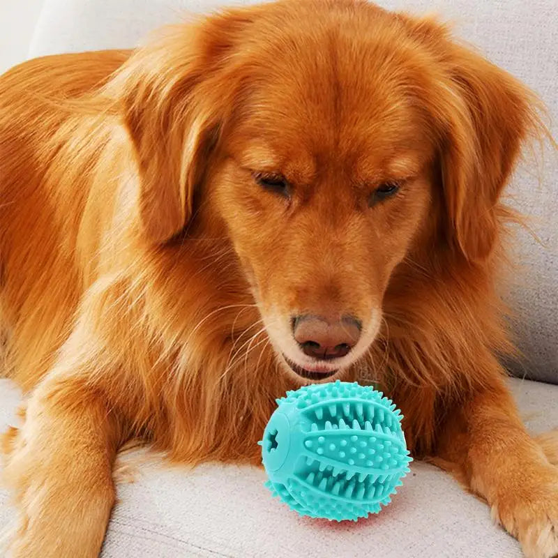 Sd9903f23d90d419ab1b69a83fe070931Y