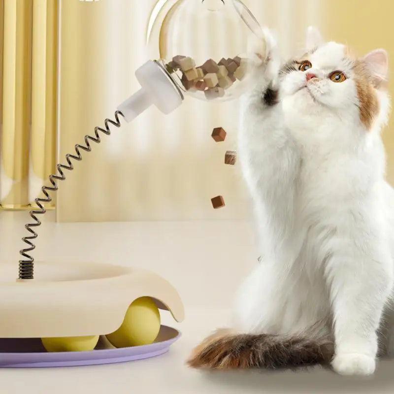 Sfda096b84d1441f6b3a1e27879024630S