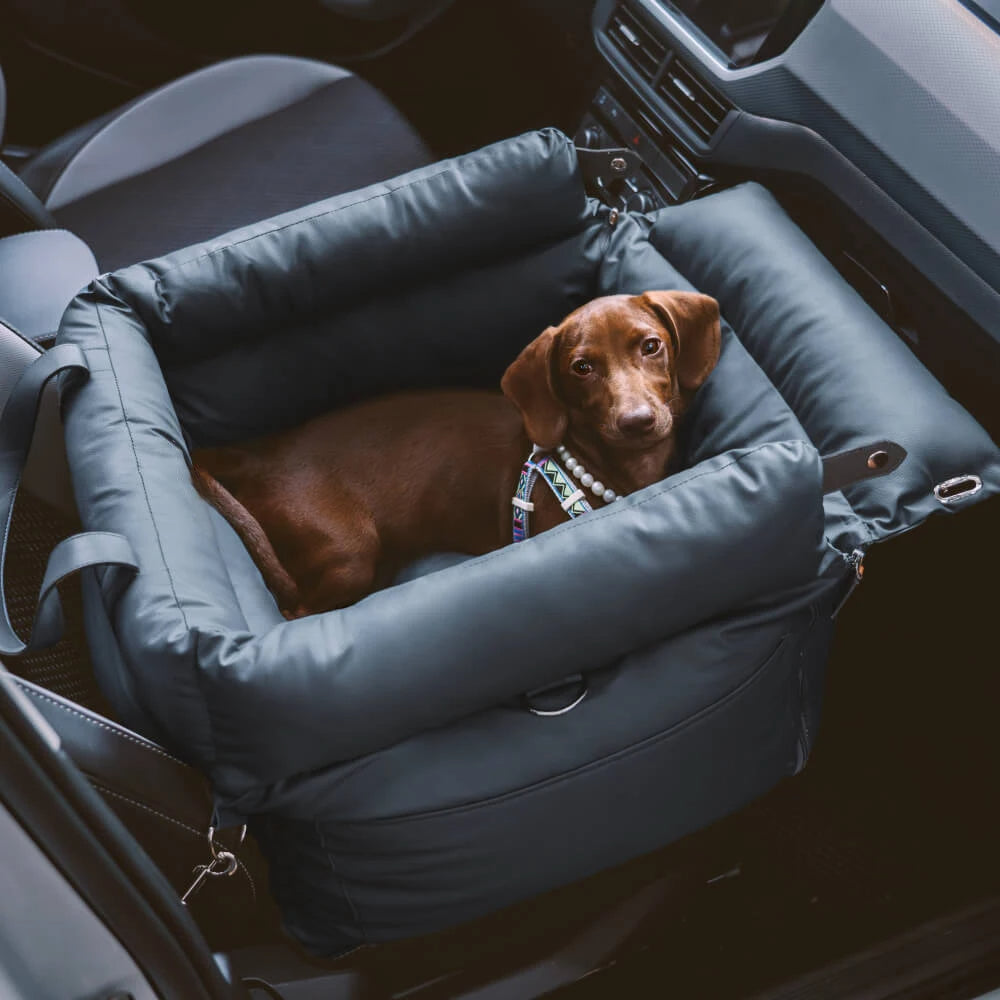 Hunde Autositz mit Sicherheitsgurt